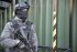viper tactical
